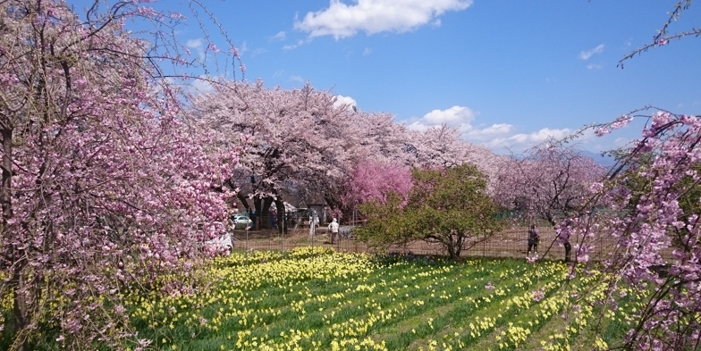 b0230598_02204155.jpg