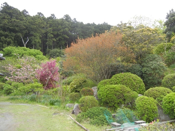c0361298_21590808.jpg