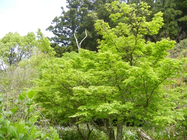 c0361298_22013690.jpg