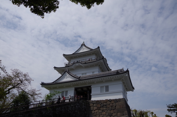 b0356401_20014569.jpg
