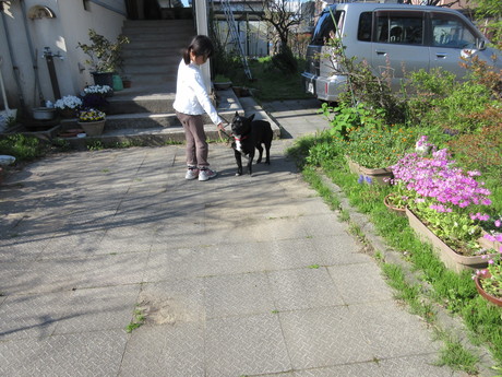 a0203003_22314311.jpg