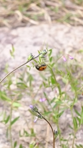 e0351303_21260286.jpg