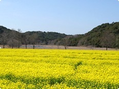 a0049808_11003405.jpg