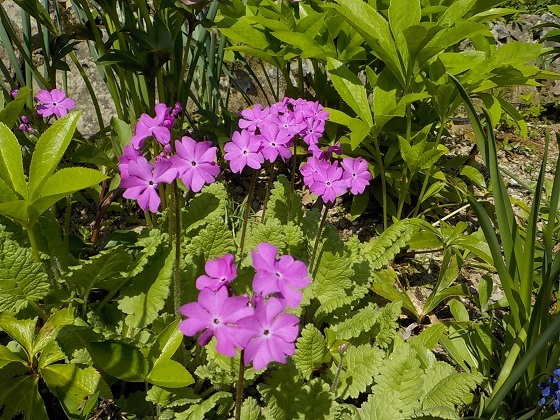 f0341616_16203910.jpg