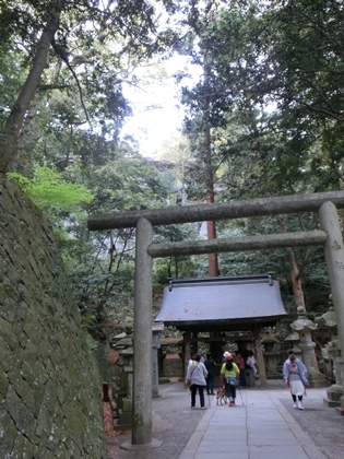 a0105023_20305127.jpg