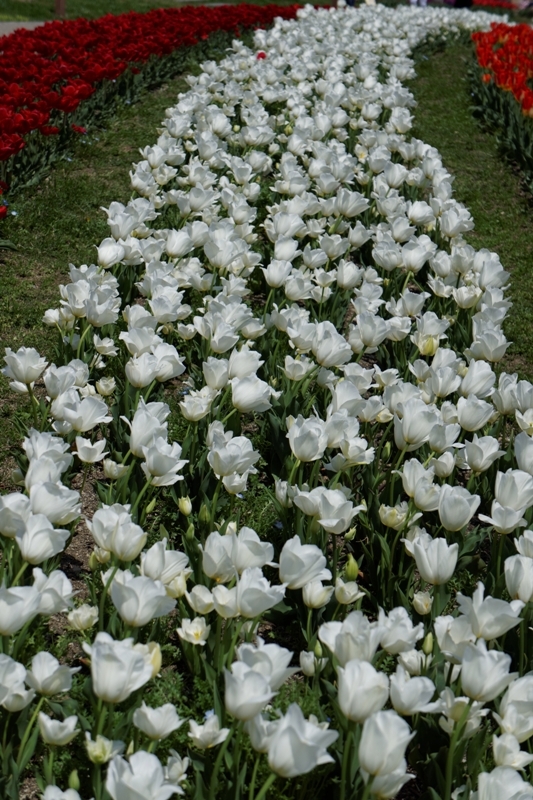 f0274536_23315261.jpg