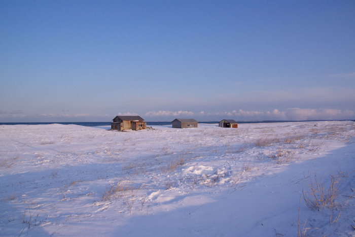 b0247838_2363843.jpg