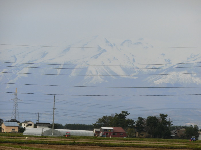 b0324239_21272421.jpg