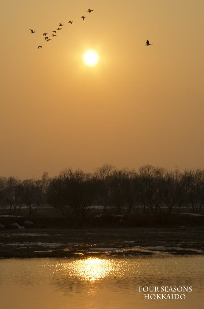 f0152939_05580780.jpg