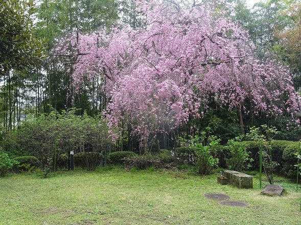 b0299042_07082421.jpg