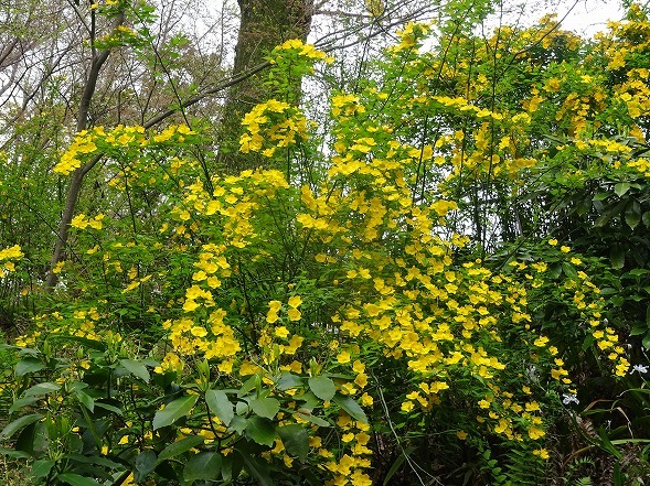 b0299042_07084414.jpg