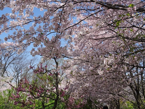 b0299042_19265842.jpg