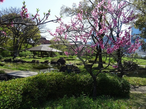 b0299042_19270434.jpg