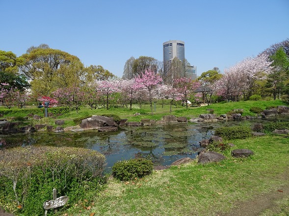 b0299042_19272710.jpg