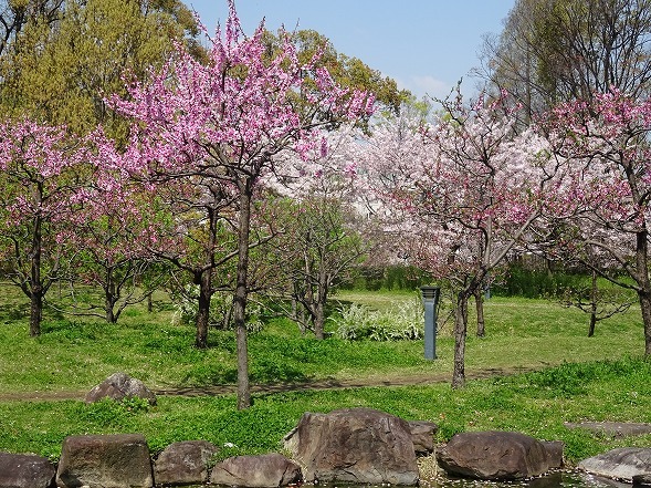 b0299042_19273261.jpg