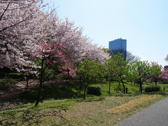 b0299042_19275339.jpg