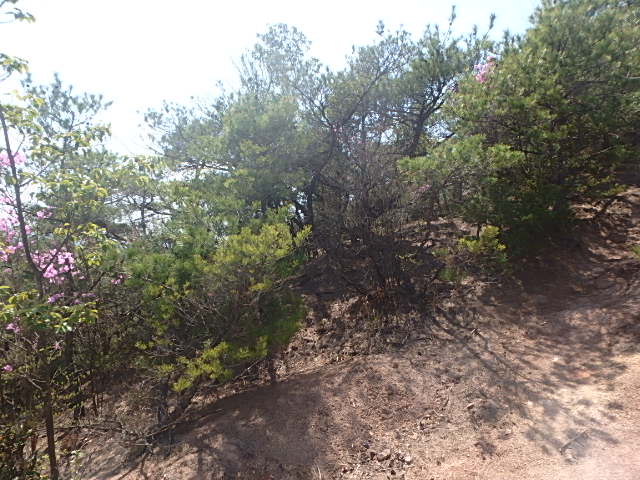 f0334143_8251368.jpg