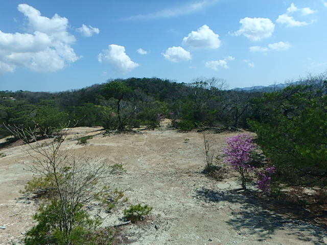 f0334143_8253895.jpg