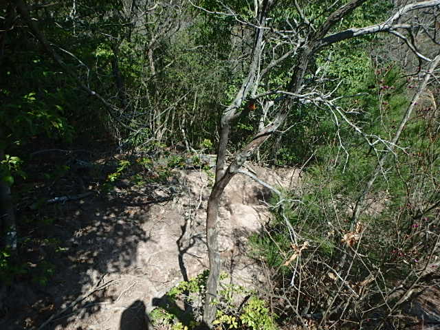 f0334143_825484.jpg