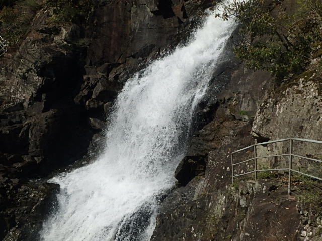 f0334143_8294119.jpg