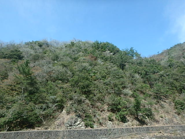 f0334143_8312513.jpg