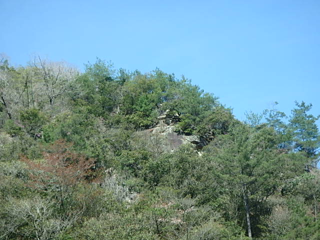 f0334143_833184.jpg