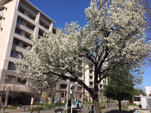 b0249247_20493880.jpg