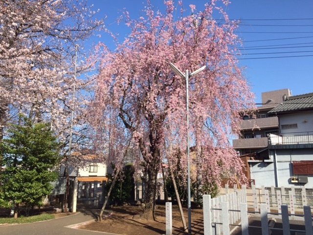 b0249247_20494970.jpg