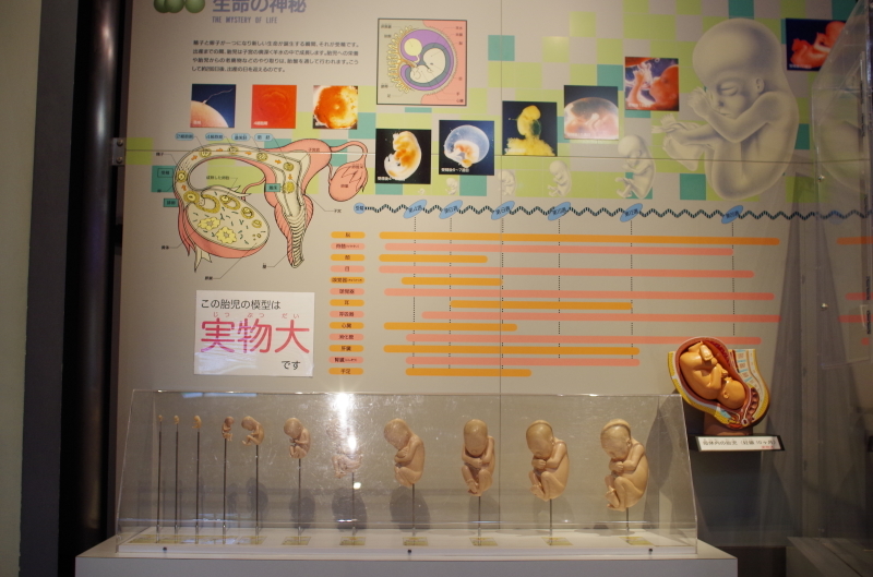 a0299749_22225579.jpg