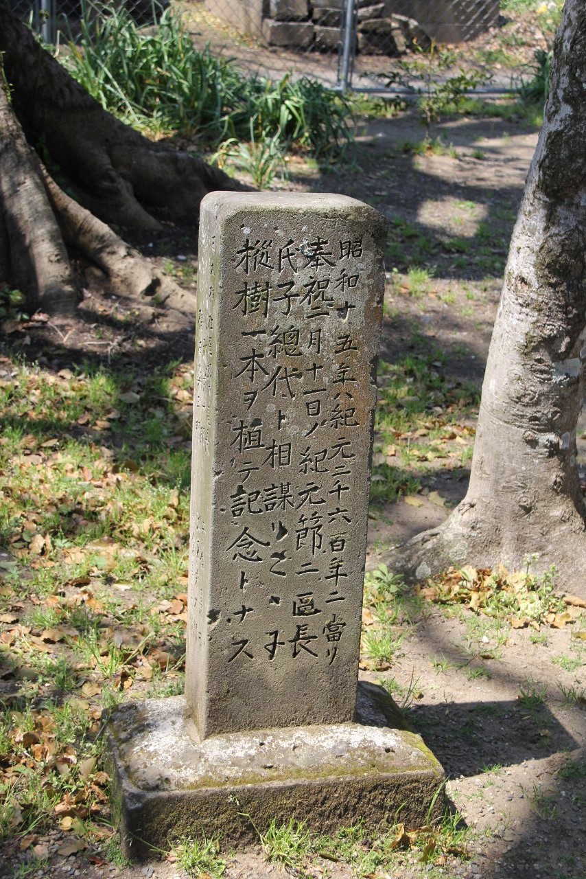 c0011649_07041730.jpg