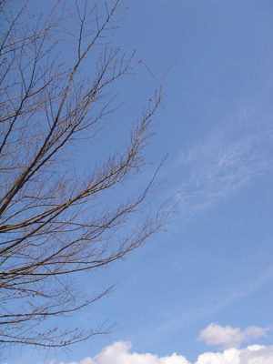 e0001558_15004983.gif