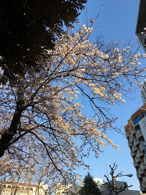 b0145863_17562737.jpg