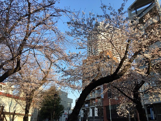 b0145863_20190014.jpg