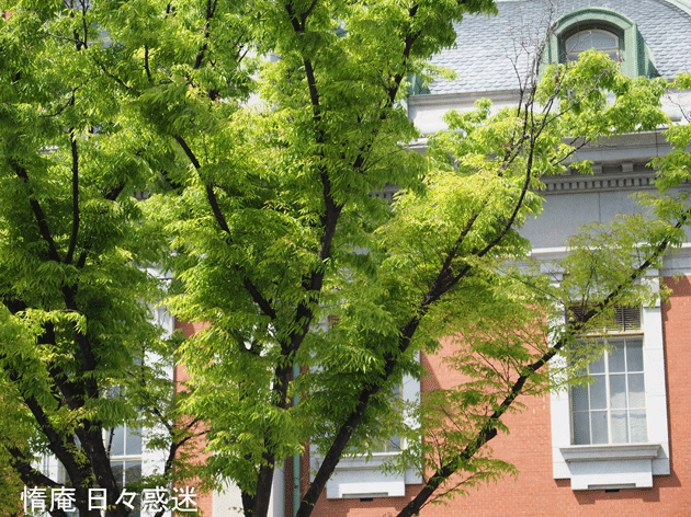e0346064_16461776.gif