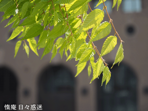 e0346064_16461790.gif