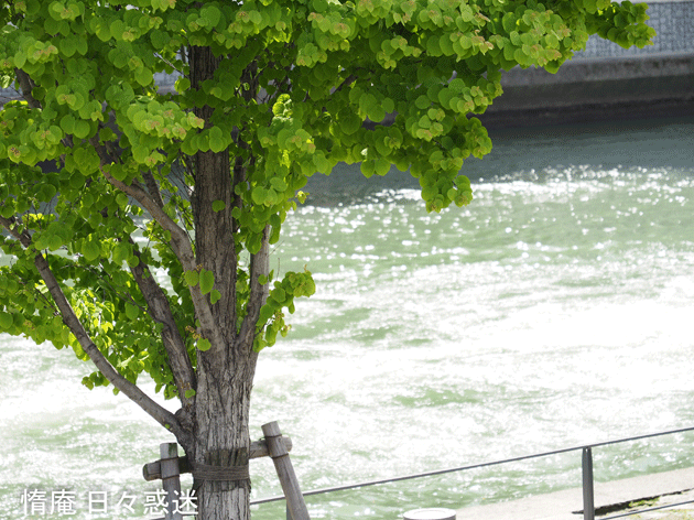 e0346064_16461829.gif