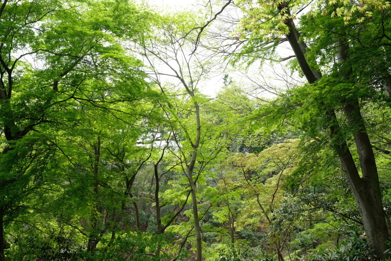 f0378464_17123007.jpg