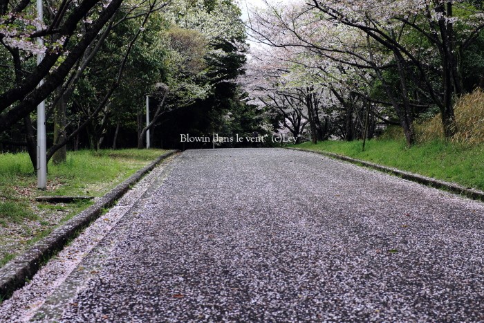 f0251765_7515016.jpg