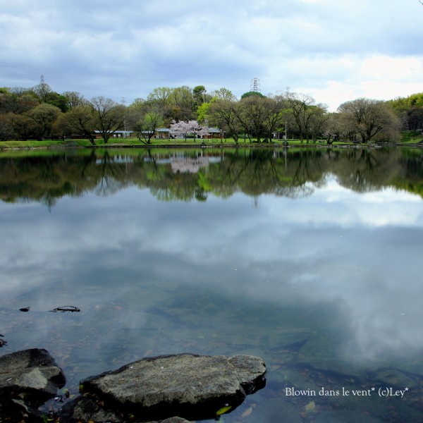 f0251765_752099.jpg