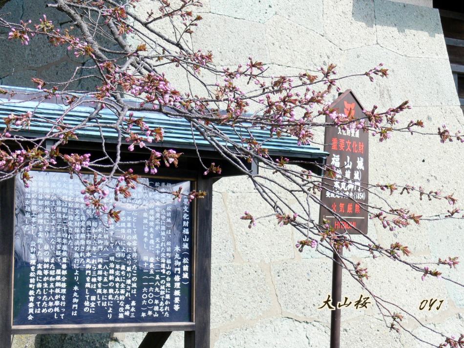 f0166871_14122921.jpg