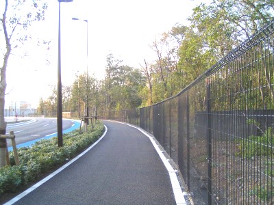 c0112172_3275348.jpg