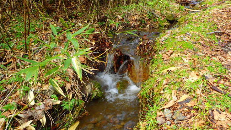 a0242984_21233576.jpg