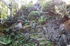 d0183387_18162559.jpg