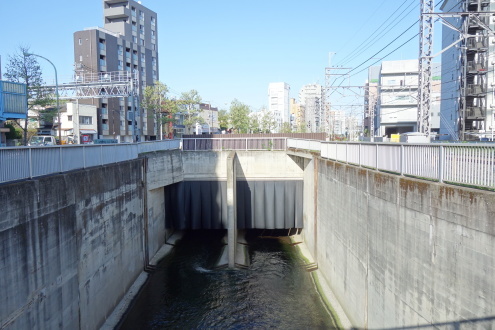 d0183387_18511726.jpg