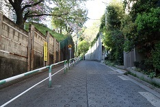 d0183387_21344598.jpg