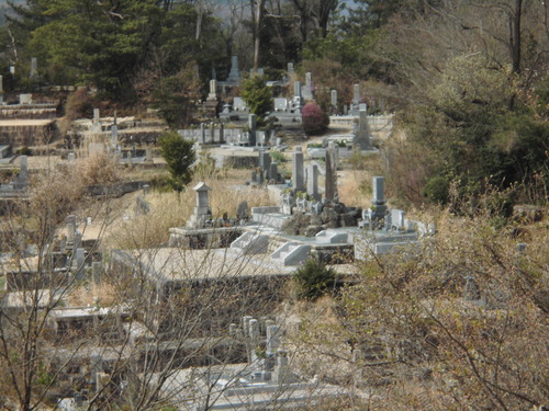 c0108198_161859.jpg