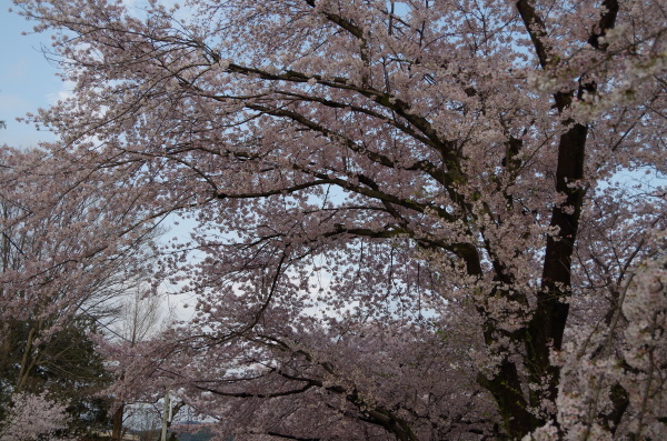 b0356401_23074246.jpg