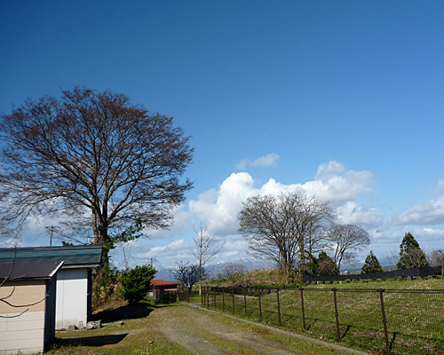 d0229501_205930.jpg