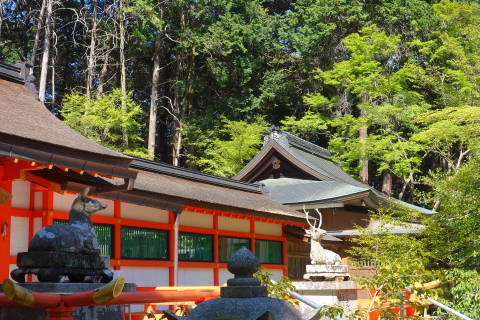 b0069604_21194416.jpg