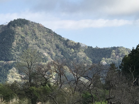 c0212604_14335876.jpg